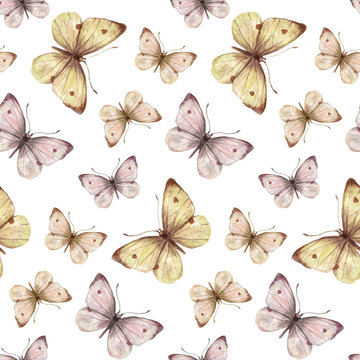 The pattern of watercolor light pink butterflies, hand drawing illustration.The seamless pattern on white background.Botanical illustration