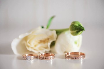 Wedding is one of the most fateful events in the life of a young couple.