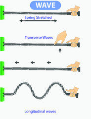 physics. spring stretched. transverse waves. longitudinal. The difference between throwing and periodic wave formation. longitudinal wave generation. periodically generated transverse waves