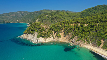 Obraz premium Aerial drone photo of paradise emerald and turquoise sandy beach of Aselinos covered in pine trees in island of Skiathos, Sporades, Greece