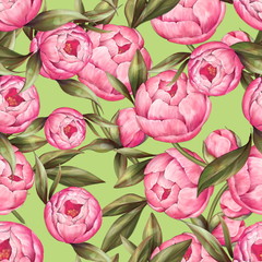 Seamless floral pattern of pink peony on green. Summer background