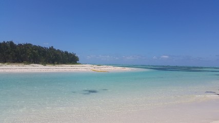 tropical beach with blue sky in Mauritius