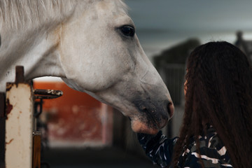 A girl with long curly hair stroking a beautiful white horse. The girl and the horse look at each other