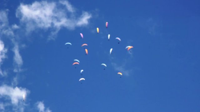 a swarm of paragliding paratroopers soars thanks to the updrafts