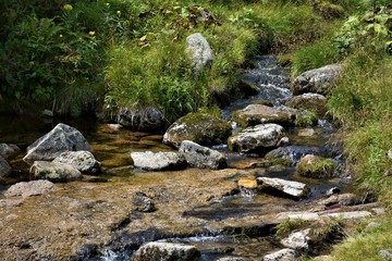Górska rzeka 