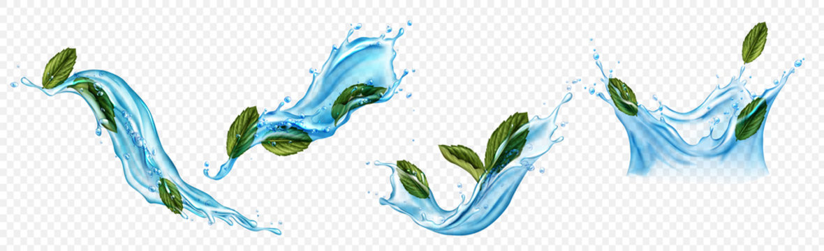 Water splashes with menthol or mint leaves. Dynamic motion of pure liquid with spearmint and droplets, isolated hydration elements, drink ad isolated on transparent background. Realistic 3d vector set