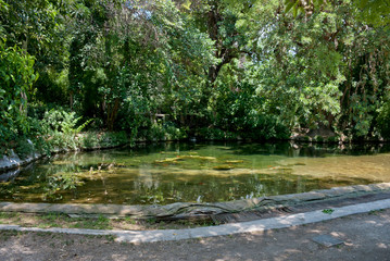 National Gardens, Athens, Greece, May 2020: The National/Royal gardens deserted during the coronavirus quarantine 