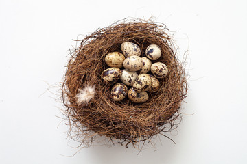 Top down view of a nest with quals eggs on a white background