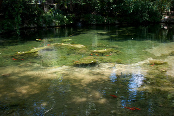 National Gardens, Athens, Greece, May 2020: The National/Royal gardens deserted during the coronavirus quarantine 