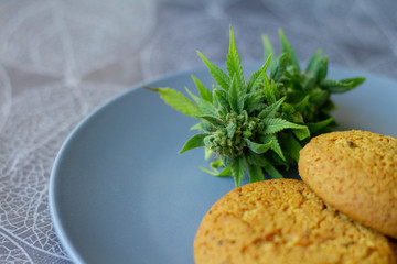 Cookies with cannabis and buds of marijuana on the plate. Can of cannabis buds CBD. Medical Legal Marijuana.
