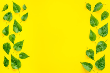 Top view frame of green leaves. Nature concept layout