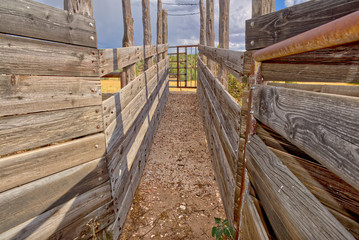 Forgotten Corral in Prescott National Forest near Paulden AZ.