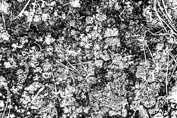 black and white background