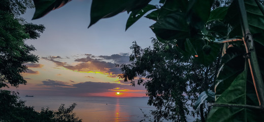 the sun before nightfall with the shadow of a black tree. Sunset sky background. beautiful natural scenery