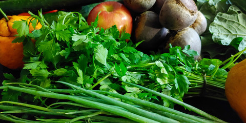 A small variety of fruits and vegetables that have just arrived from the organic fair.