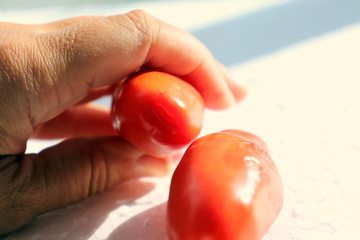 Elongated tomatoes in hands close-up on a light background.