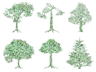 Tree isolated silhouettes with green leaves