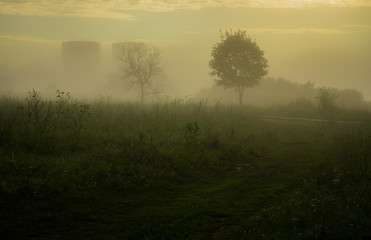 Obraz na płótnie Canvas morning mist over the field