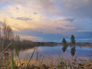 Fototapeta na wymiar Reflection of pine trees in the water against the background of the sunset, Komi Republic, Russia.