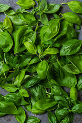 Basil leaves