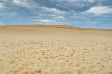 Dunes of Leba in the desert of Slowinski National Park, Poland