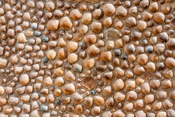A closeup pic of a wall covered with sea shells