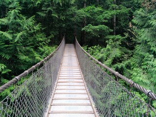 Lynn Canyon Suspension Bridge