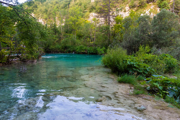 Plitvice Lakes in the forest, Croatia