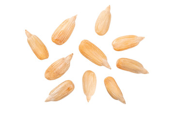 Sunfloer seeds on white background.top view
