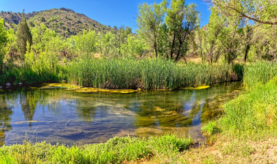 Upper Verde River Springs at Stewart Ranch Recreational Area of Arizona.