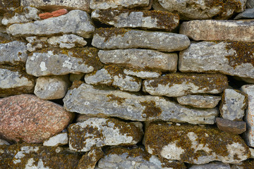 moss growing on stone wall