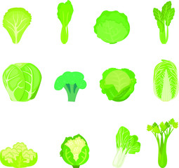 set of vegetables