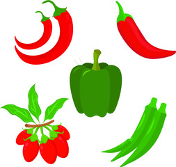 vector illustration of chili peppers
