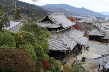 三井寺の観音堂俯瞰