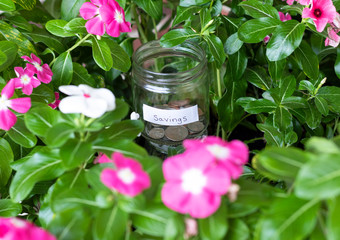 Savings jar with some coins in a flower garden growing, savings growing concept, coin shortage 