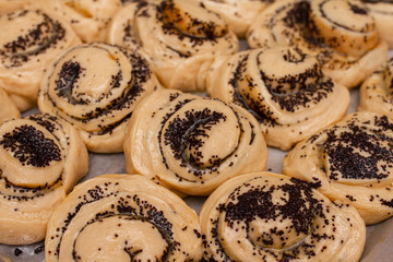 Dough brown pies with poppy seeds lies on baking sheet and ready for baking on row baking paper
