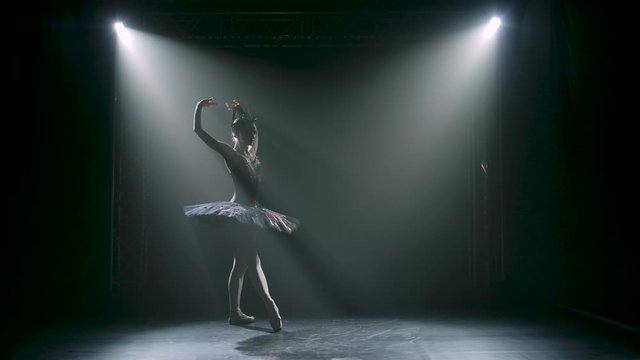 Silhouette of a graceful ballerina in a chic image of a black swan. Classical ballet choreography. Shot in a dark studio with smoke and neon lighting. Slow motion.