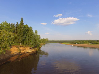 Bank of the Sysola river with a sloping birch, Komi Republic, Russia.