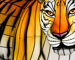 Paper tiger close up