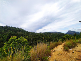 landscape with mountains