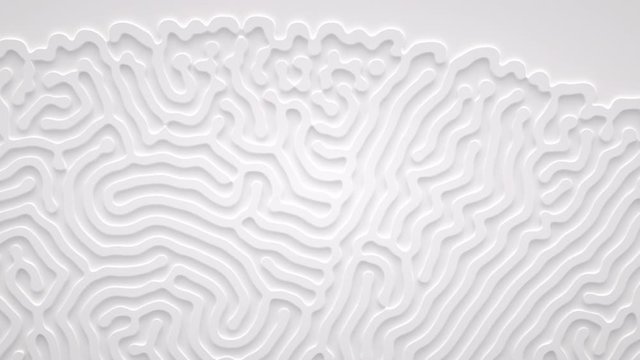 Reaction diffusion organic growing pattern. Turing system science background.