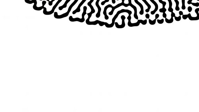 Reaction diffusion organic growing pattern. Turing system science background.