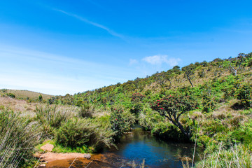 the river in the mountains