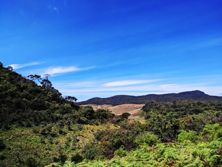 landscape with mountain and sky