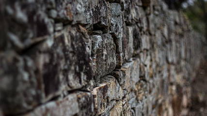 Mangueira de Pedra Moura