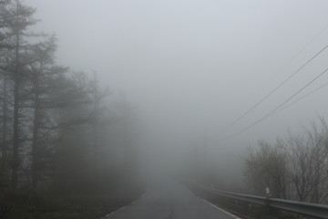 Road in a fog