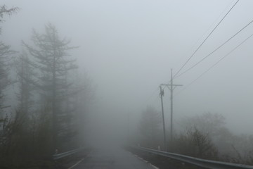 Fototapeta na wymiar Road in a fog