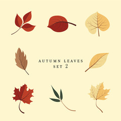 Autumn leaves set 2