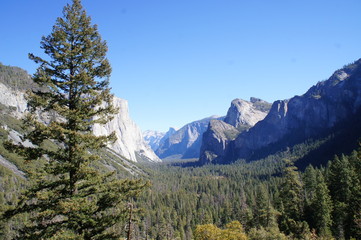 Obraz premium Yosemite National Park, California