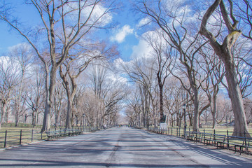 New York City During the Day